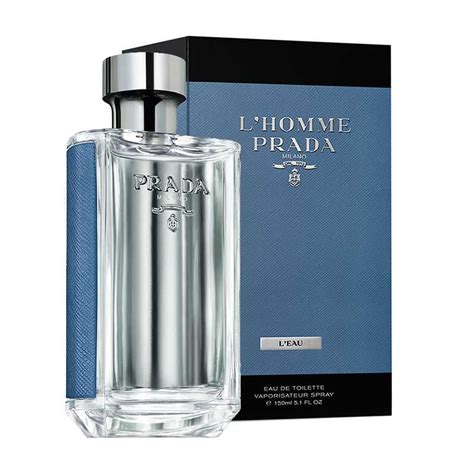 fragrantica prada l'homme|prada l'homme reviews.